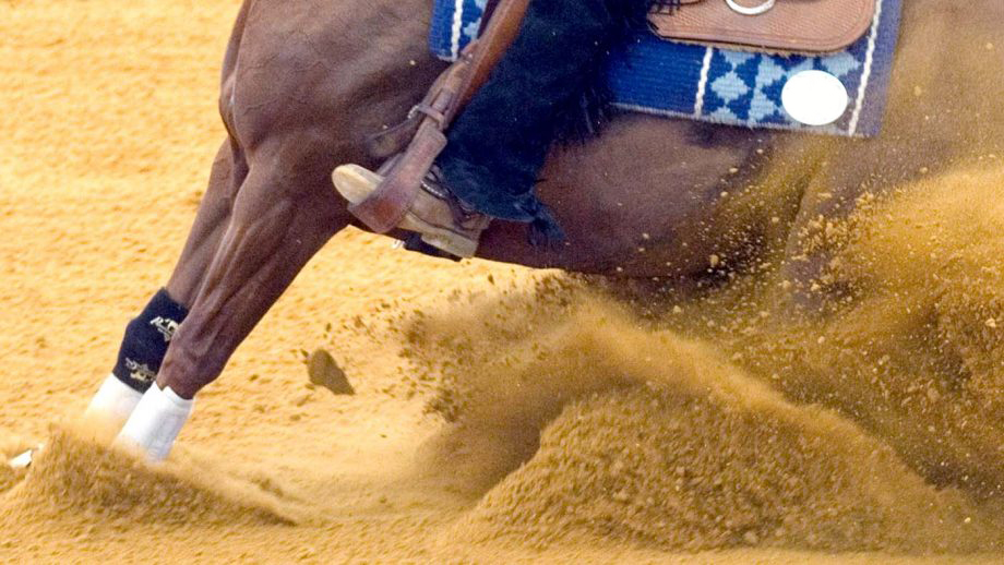 A reining horse