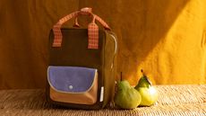 A multicolor green, yellow, blue, and red backpack next to two pears against a yellow backdrop, in shadow