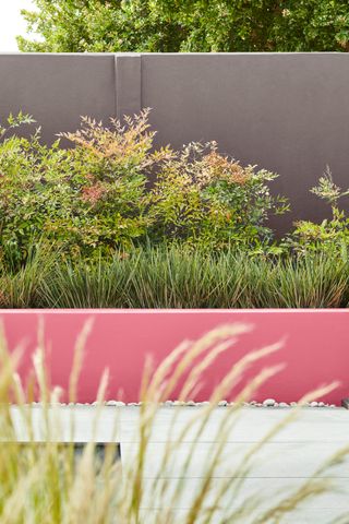 How to design a patio with hard landscaping, featuring a coral painted concrete wall that creates a flower bed in front of a taller gray wall.