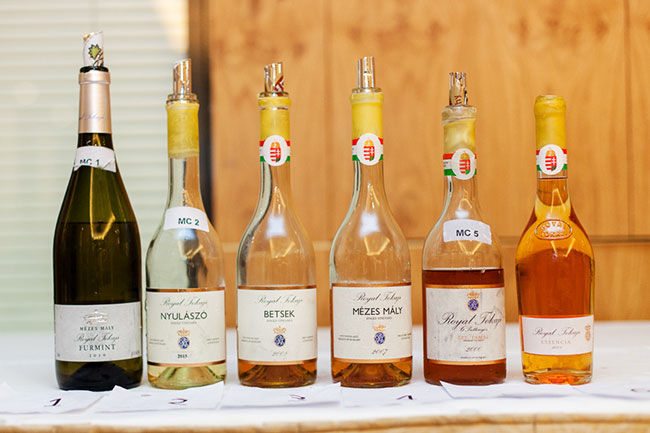 tokaji, dfwe 2016