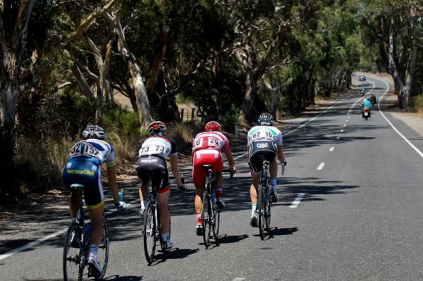 The break head down the tree lined roads