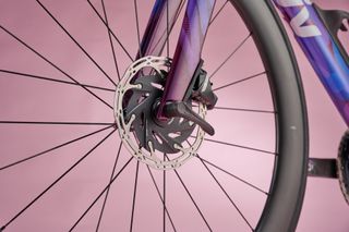 LIV EnviLiv front wheel segment showing forks and disc brake on pink background