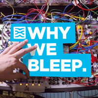 8. Why We Bleep