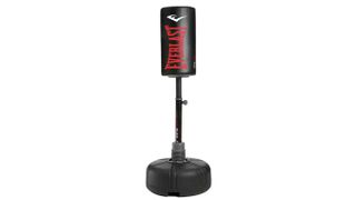 Best punching bag: Everlast Omniflex Freestanding Heavy Punch Bag