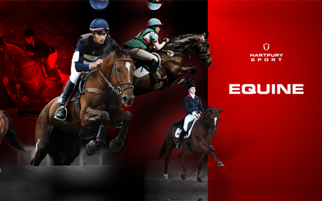 Equine-Montage