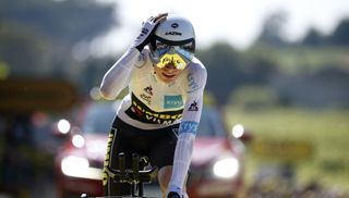 Jonas Vingegaard secured second in the Tour de France
