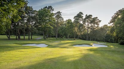 West Surrey Golf Club - Hole 12 - Feature