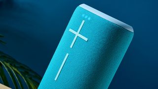 Photograph of Ultimate Ears Everboom Bluetooth speaker