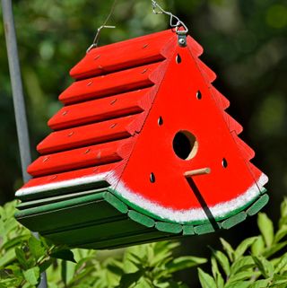 bird house design ideas: watermelon style