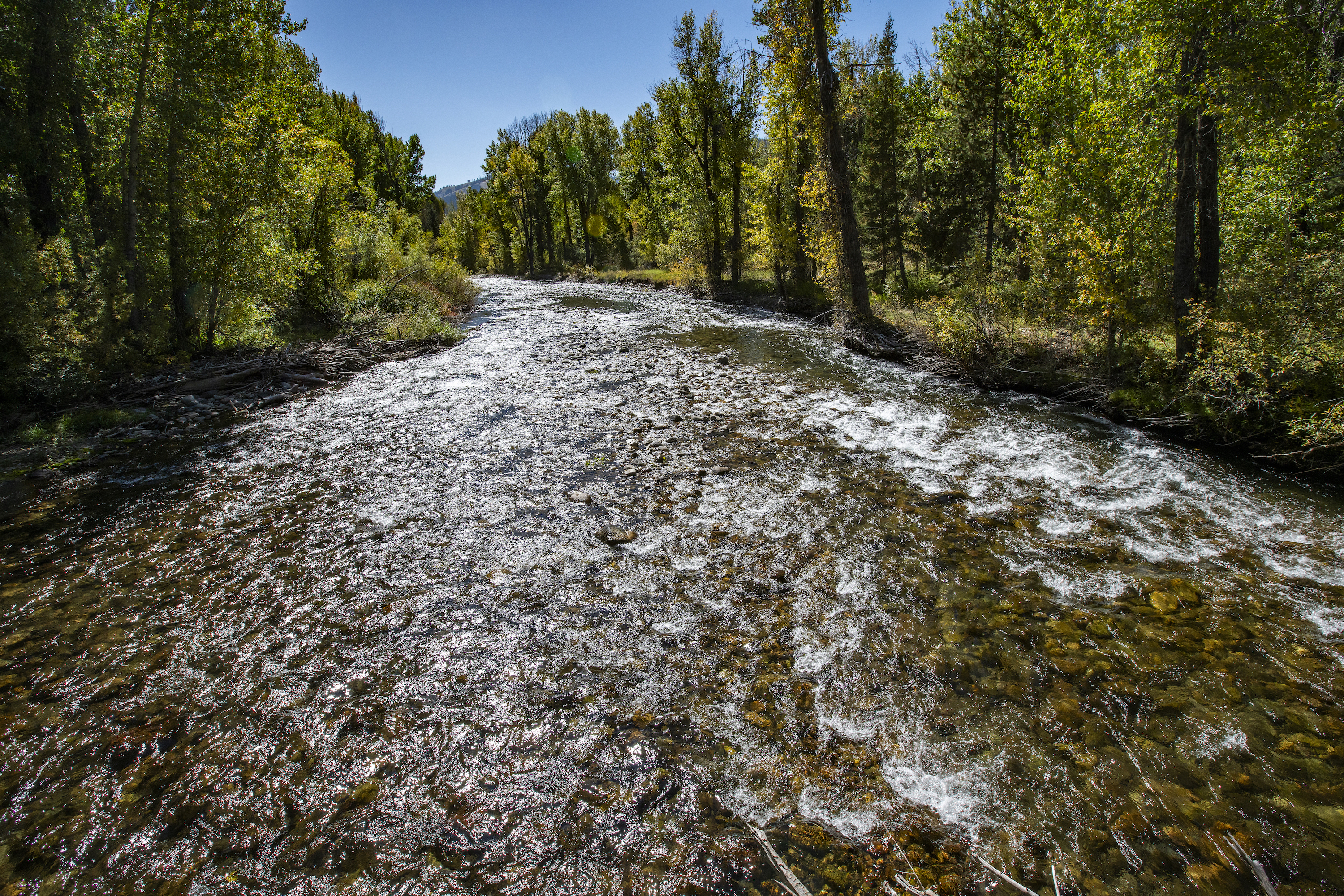 The Big Wood River flows near Sun Valley, Idaho