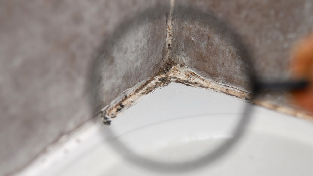 How to tackle bathroom sealant mold | Tom's Guide