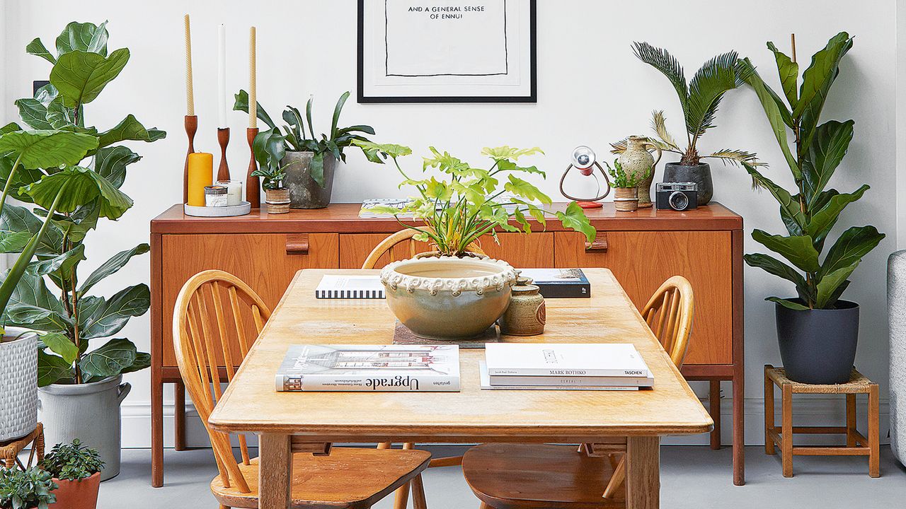 House plants in dining room with sideboard