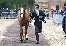 Jeans-Trot-up.jpg