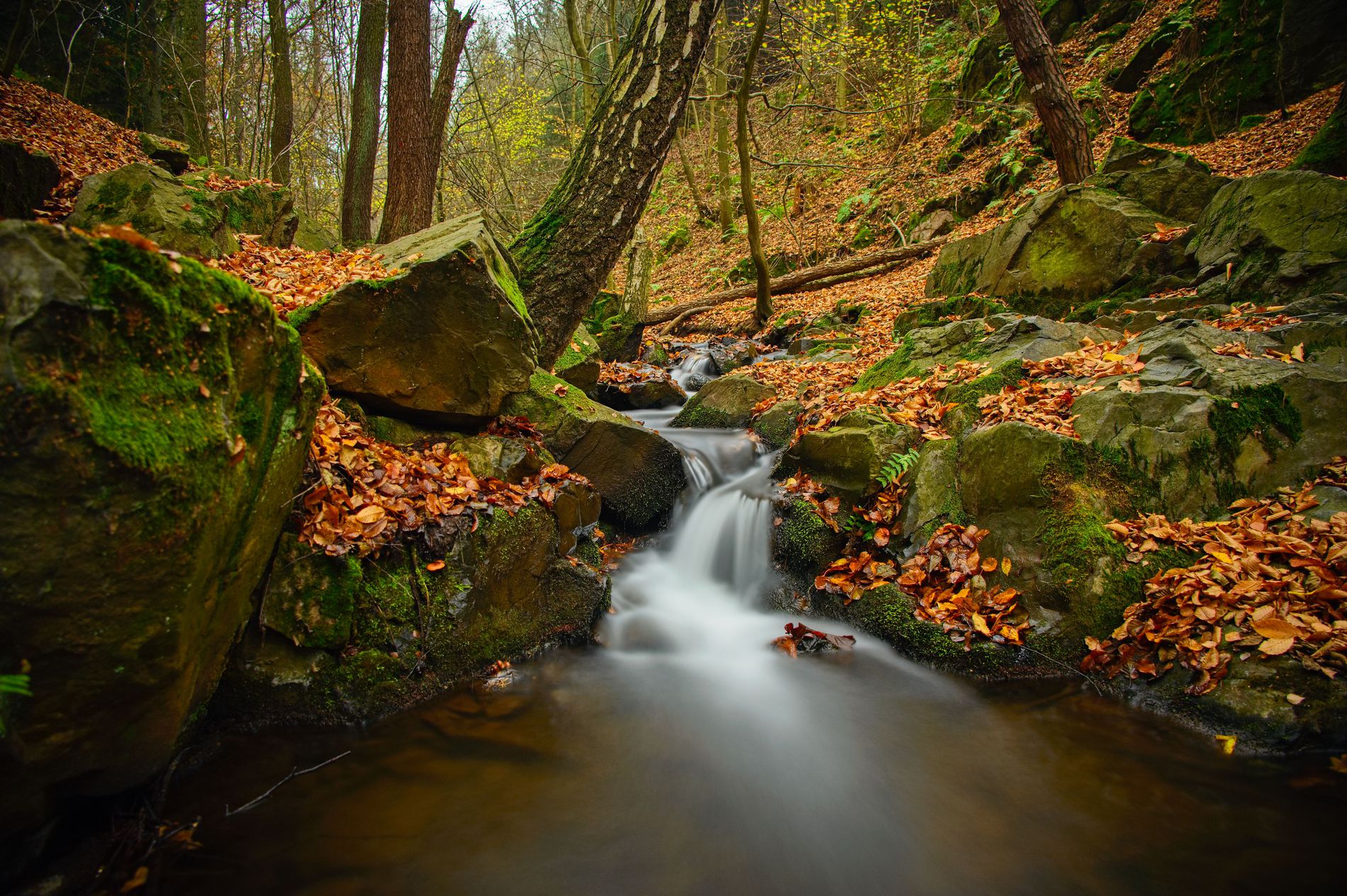 GuruShots - March 2026