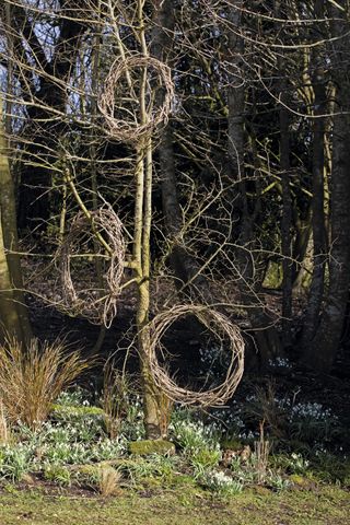 woven twig decorations on bare branches with snowdrops