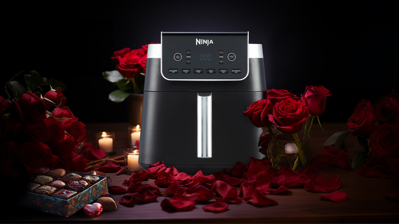 Ninja Air Fryer