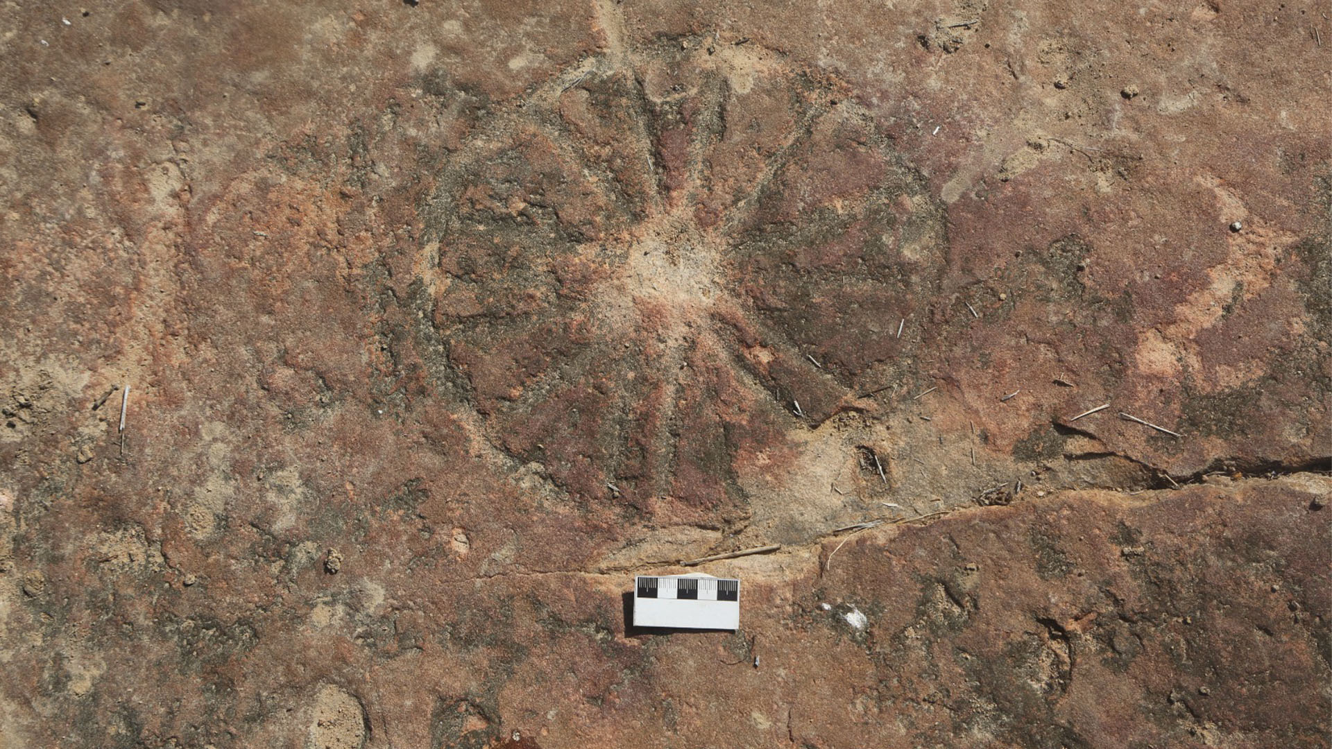 Rock art is attributed to small seminomadic groups of hunter-gatherers.
