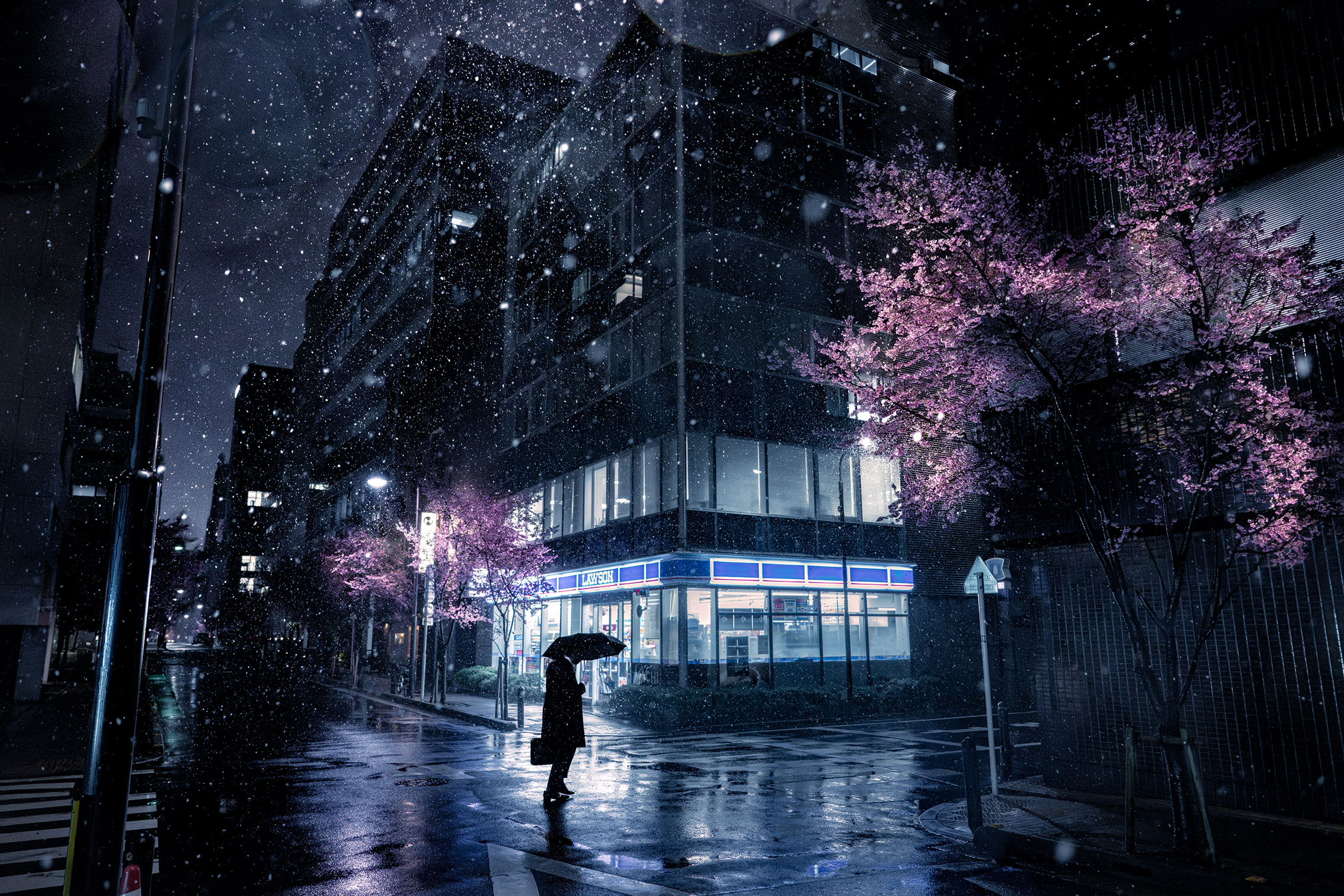 A person holding an umbrella stands on a rain-soaked street, illuminated by neon lights and surrounded by pink cherry blossoms at night