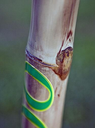 Given the natural bamboo materials, slight imperfections are to be expected and add to the bike's character.