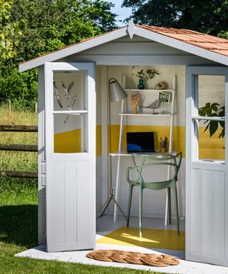 Shed painted with protek