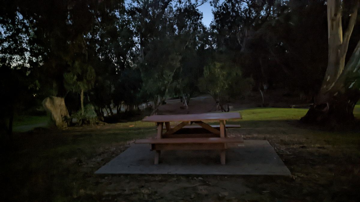 Google Pixel 6 camera samples