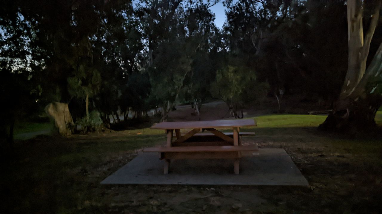 Google Pixel 6 camera samples