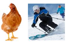 guess the wine estate