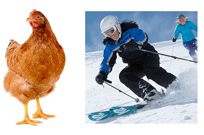 guess the wine estate