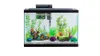 Aqua Culture 29-Gallon Aquarium Starter Kit With LED