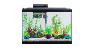 Aqua Culture 29-Gallon Aquarium Starter Kit With LED tropical fish tank