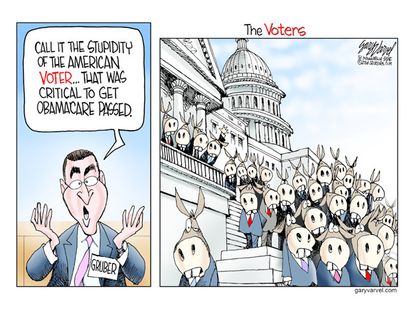 Political cartoon Gruber ObamaCare Democrats Congress