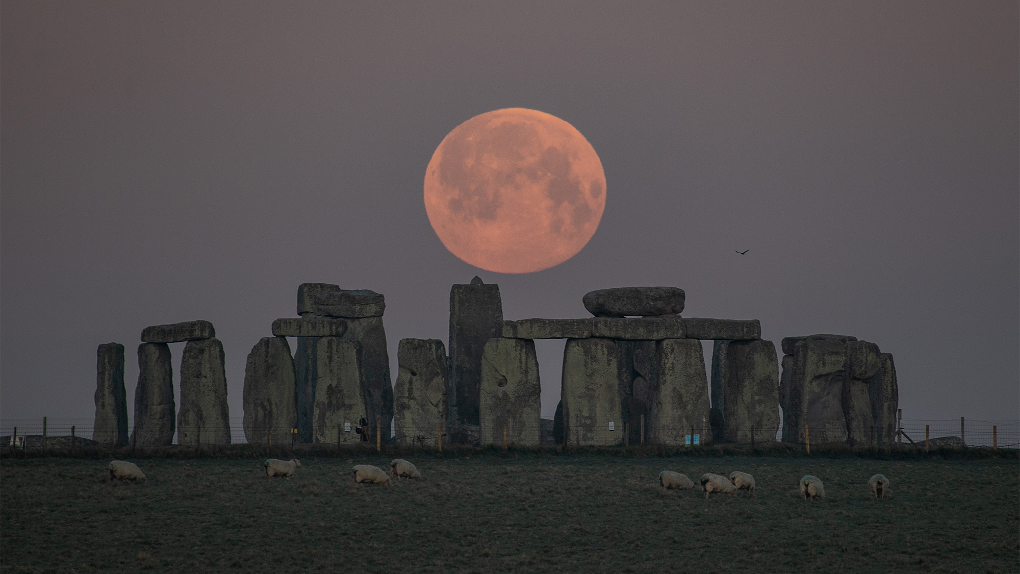 See The Super Pink Moon Of 2021 Shine In These Stunning Photos Space