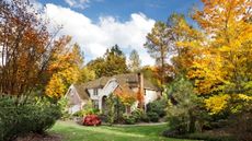 A suburban home and garden in the fall, with the leaves turning yellow and gold