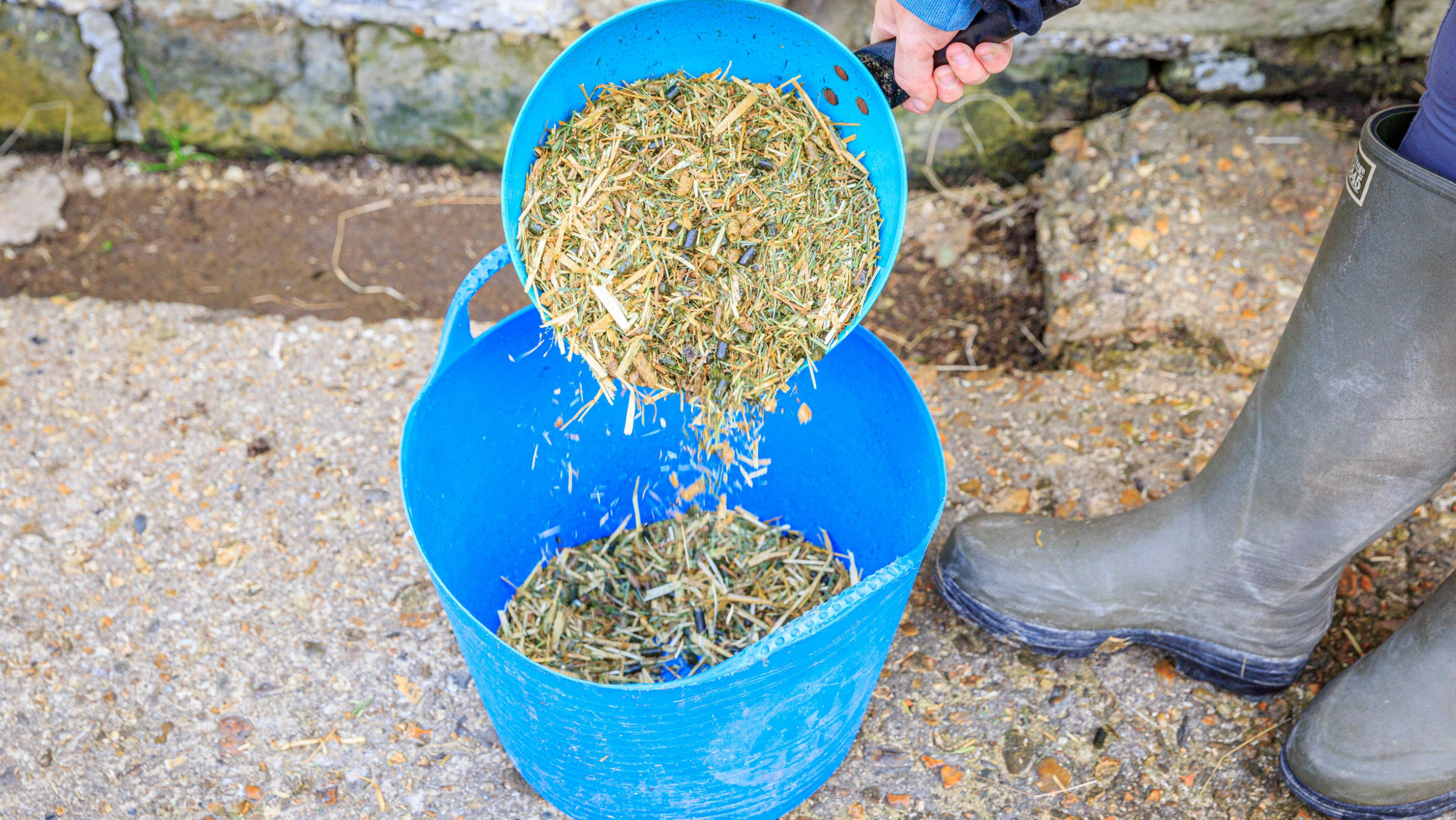 A woman demonstrates she knows how much to feed a horse as a close-up shot show her tipping chaff from a blue scoop into a blue bucket