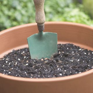 A gardening trowel in a plant pot