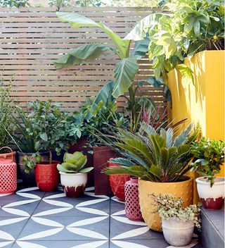 black and white tiled patio with yellow painted wall and plants in pots