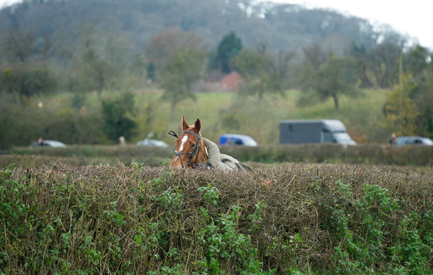 Ledbury Hunt 05 12 2014