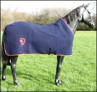 Whole_horse_and_rug.jpg