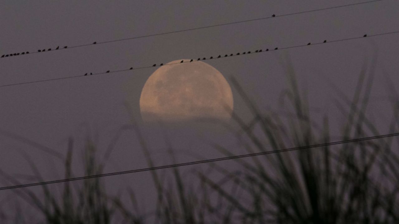 Supermoon 2017