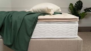 The Saatva Organic Quilted mattress topper on a bed