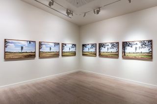 Repeated artwork showing trees, across gallery walls