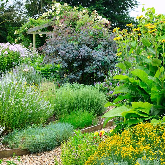 10 bee-friendly herbs | Ideal Home