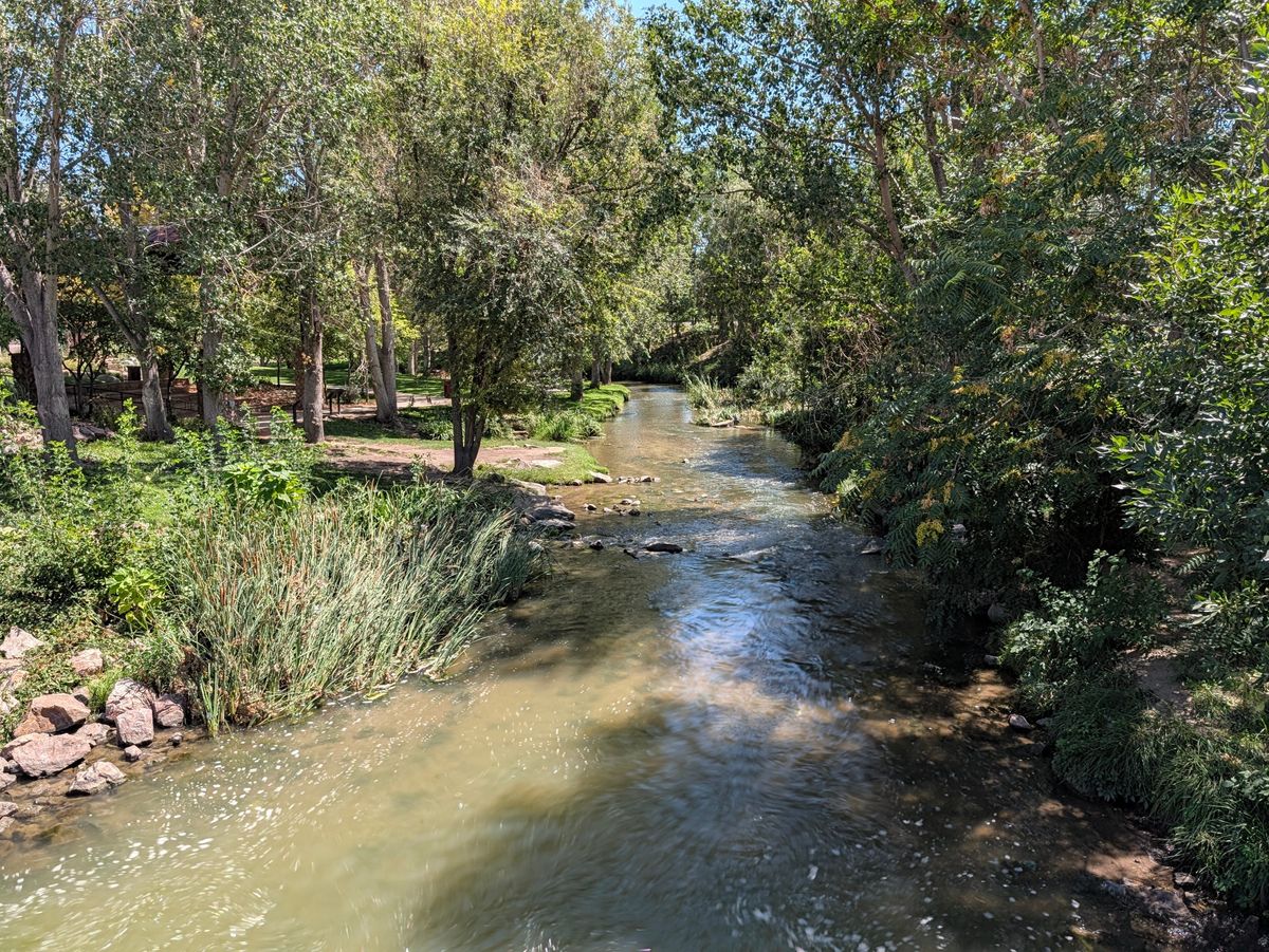 Google Pixel 11 Pro XL camera samples