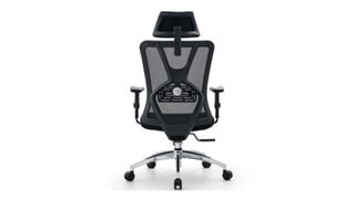 Ticova Ergonomic Office Chair review: The chair shown from the back so you can see the adjustable lumbar region