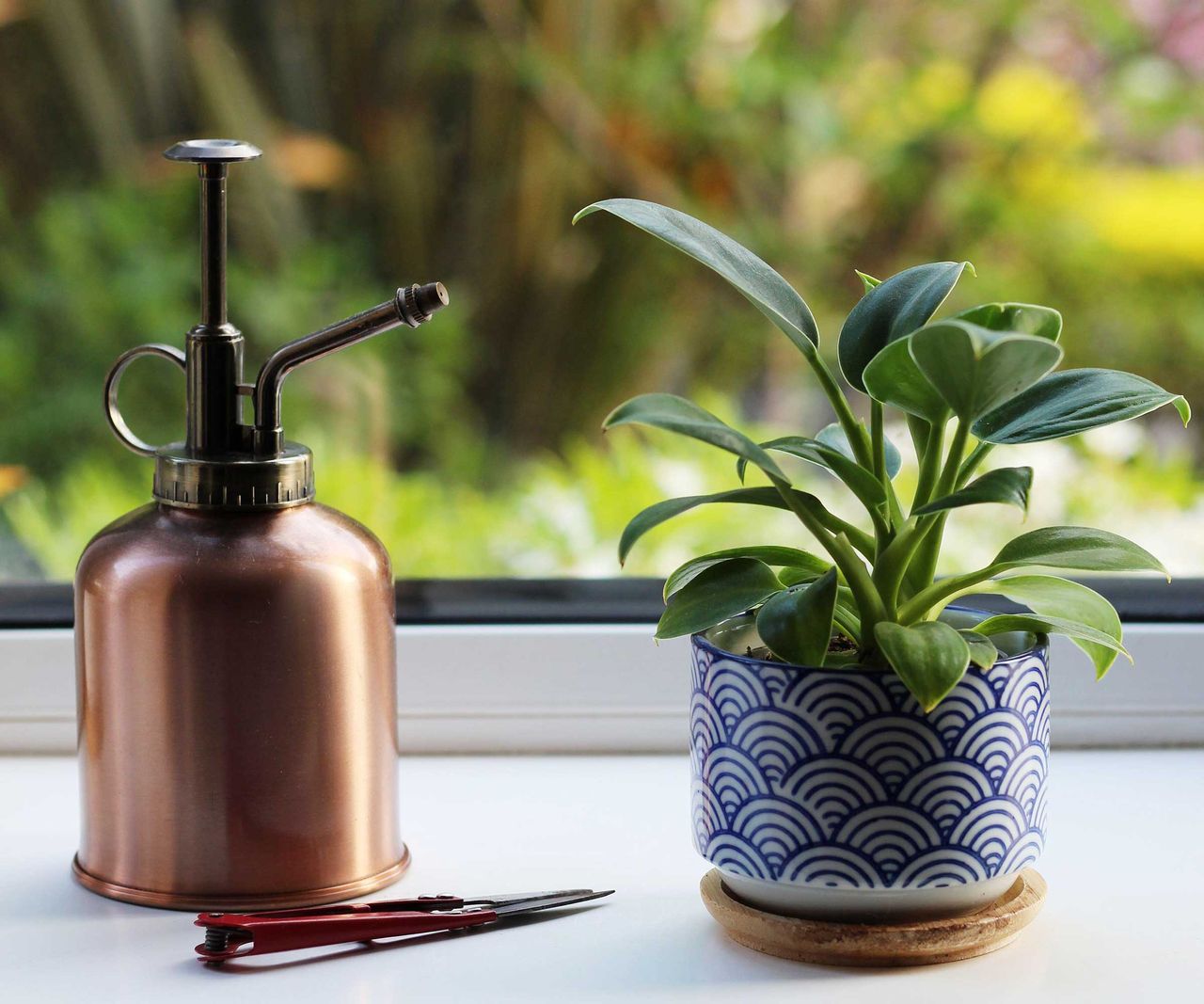 How Often Should You Water Indoor Plants? The Experts Reveal | Homes ...