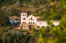 CPurcari_chateau_close.jpg