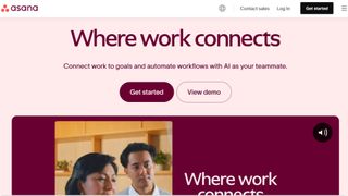 Website screenshot for Asana (November 2024)