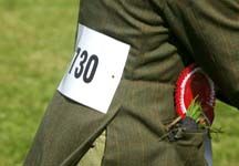 rosette.jpg