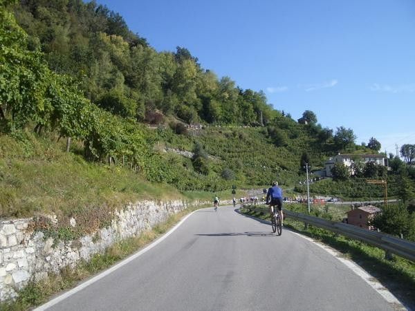 Approaching the village of Rolle, we take that hair-pinned climb to the left.