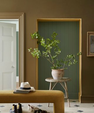 entryway with brown-green walls, green door and plant on side table